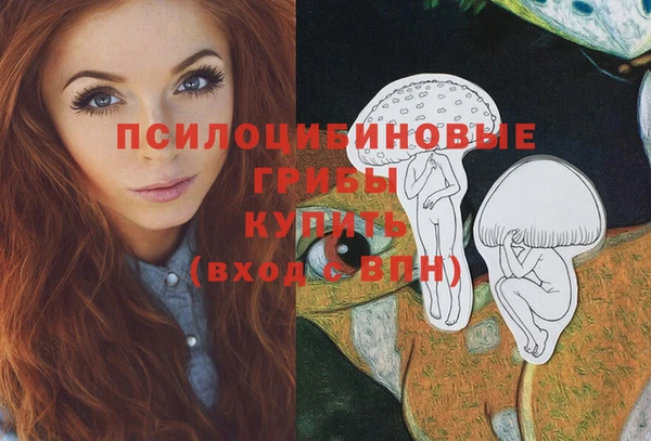 тгк Абдулино