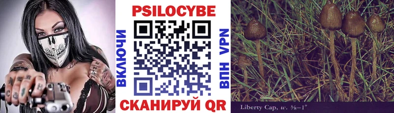 Галлюциногенные грибы мицелий  Горбатов 